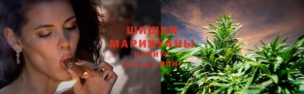 прущие грибы Армянск