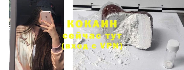 прущие грибы Армянск