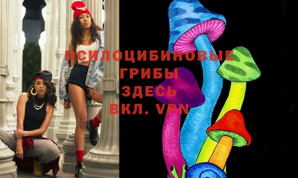 прущие грибы Армянск