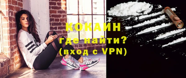 прущие грибы Армянск