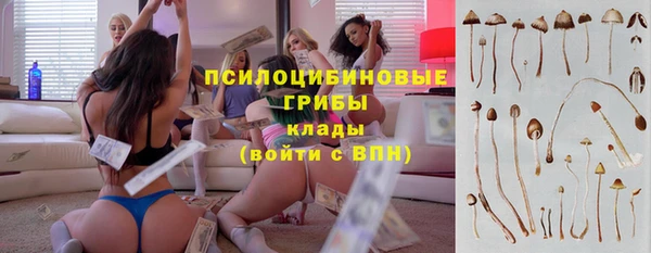 прущие крисы Арсеньев