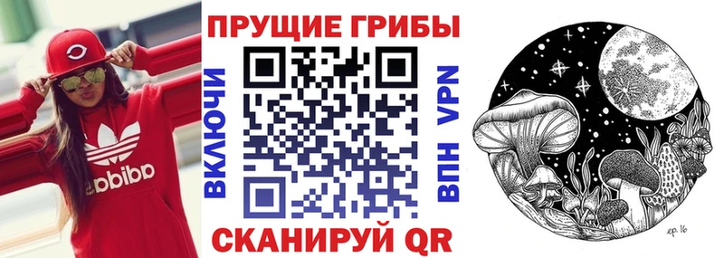 Галлюциногенные грибы мухоморы  купить наркотики цена  Судогда 