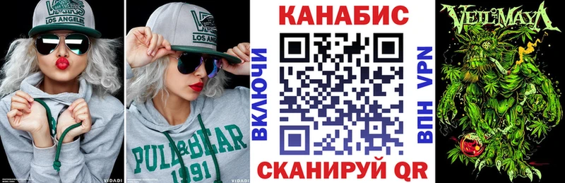 Бошки Шишки THC 21%  кракен онион  Судогда 